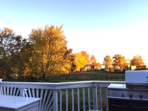 This was the view of autumn leaves from my deck this year. They were so beautiful, but now a mountain of fallen leaves are in need of raking.